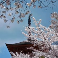 下の公園から見た多宝塔の屋根