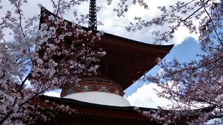 小高い丘の上にありますが桜が咲いていました。見晴らしも良かったです。