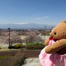 山々と桜の素晴らしい眺めが見れました