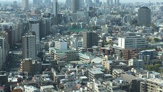 無料で登れますが、東京ドーム側は見ることができません。