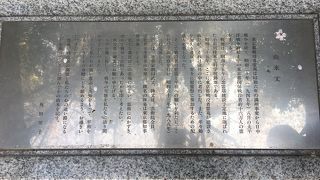 桜が満開でとてもきれいでした。