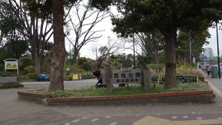 スポーツもできる公園