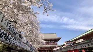 最近の外国女子は着物が好き？