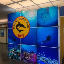 マリンダイビングフェア参加の方に水族館の割引があります。