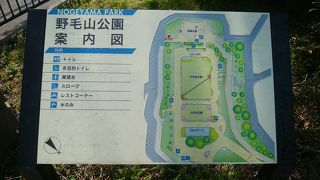 野毛坂を上り切った一面に広がる公園も桜一色！