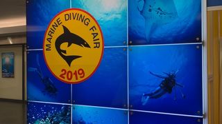 マリンダイビングフェア参加の方は割引があります！