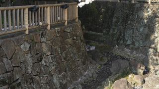 音無親水公園から石神井川お花見