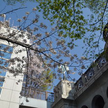 音無橋からエレベーターで降りることもできます。