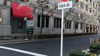 日本橋三越　と　日本橋高島屋　どちらも桜が見れます