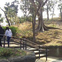 野毛山公園