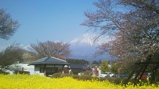 駒止の桜とも言います