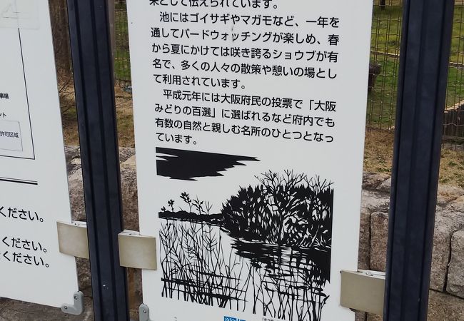 バーベキューできます