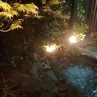 貸切り風呂へビん湯