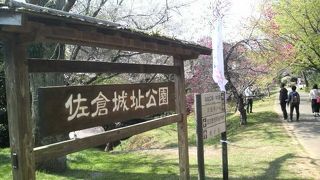 桜の見ごろの時期で午前中から賑わってました