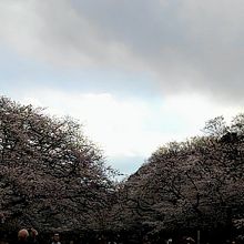 夕方は曇り。とても寒かったです。