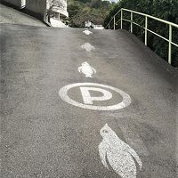 駐車場の坂にペンギン