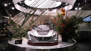 お正月のディスプレイが見事でした☆