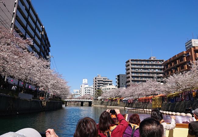 京浜フェリーボート クチコミ・アクセス・営業時間｜横浜【フォー