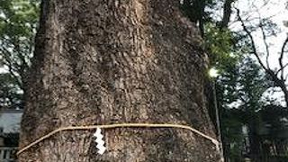 散策途中に寄りました