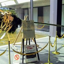 「籠松明」の展示  (根がついた竹を使っています)