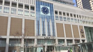 白樺があります