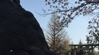 浅草寺の中にあります