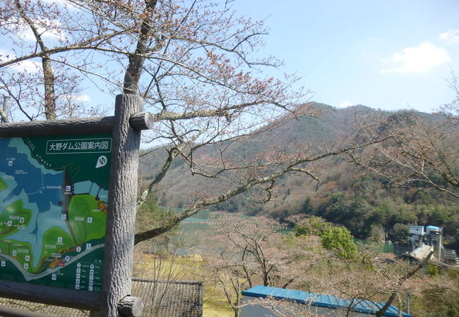 素晴らしい桜公園があるんだなぁ