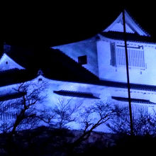 部屋からライトアップされたお城が見えます