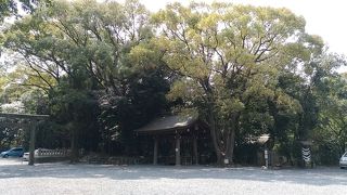 由緒のある神社、散歩できます。