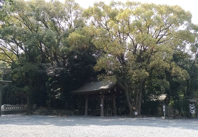 由緒のある神社、散歩できます。