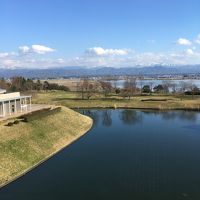 部屋の窓からです。