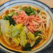 季節限定の桜海老うどん