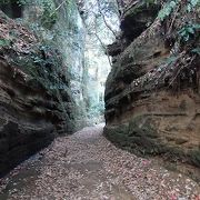 鎌倉時代の古道金沢街道を歩きました