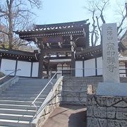 八王子観桜散策で宗印禅寺に行きました