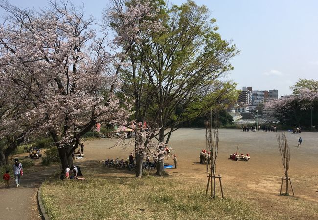 鷺沼公園