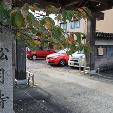 桜の大樹が門前にまで