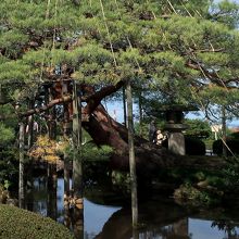 ここにあるのか