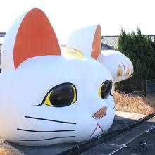 常滑と言えば「招き猫」。素焼の猫親子が「おっきいなぁ」って。