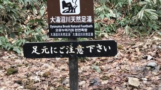 冬季は閉鎖していて残念！