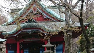 井の頭池のほとりに