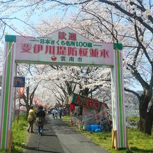 桜祭り入口です