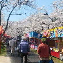 屋台が沢山出ていました