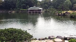 庭園の大部分を占める大泉水