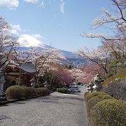 桜が満開でした