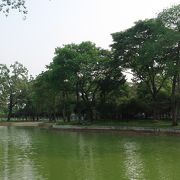 広い公園です