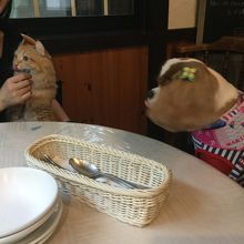 お料理が来るまでじっと我慢