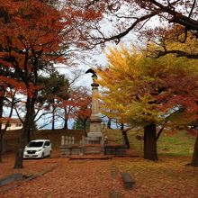 イチョウのじゅうたん