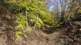 石垣の囲みや土塁など