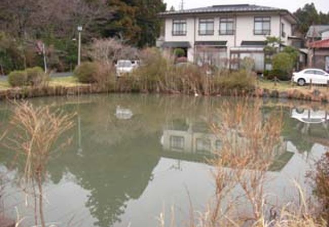 鎌倉時代の大きな池の跡