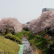 川沿いの広い公園です